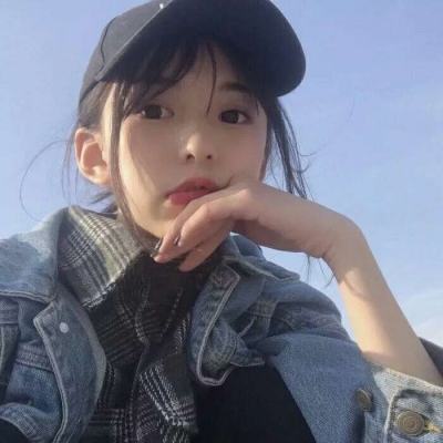 宠物小精灵xy百度手游下载